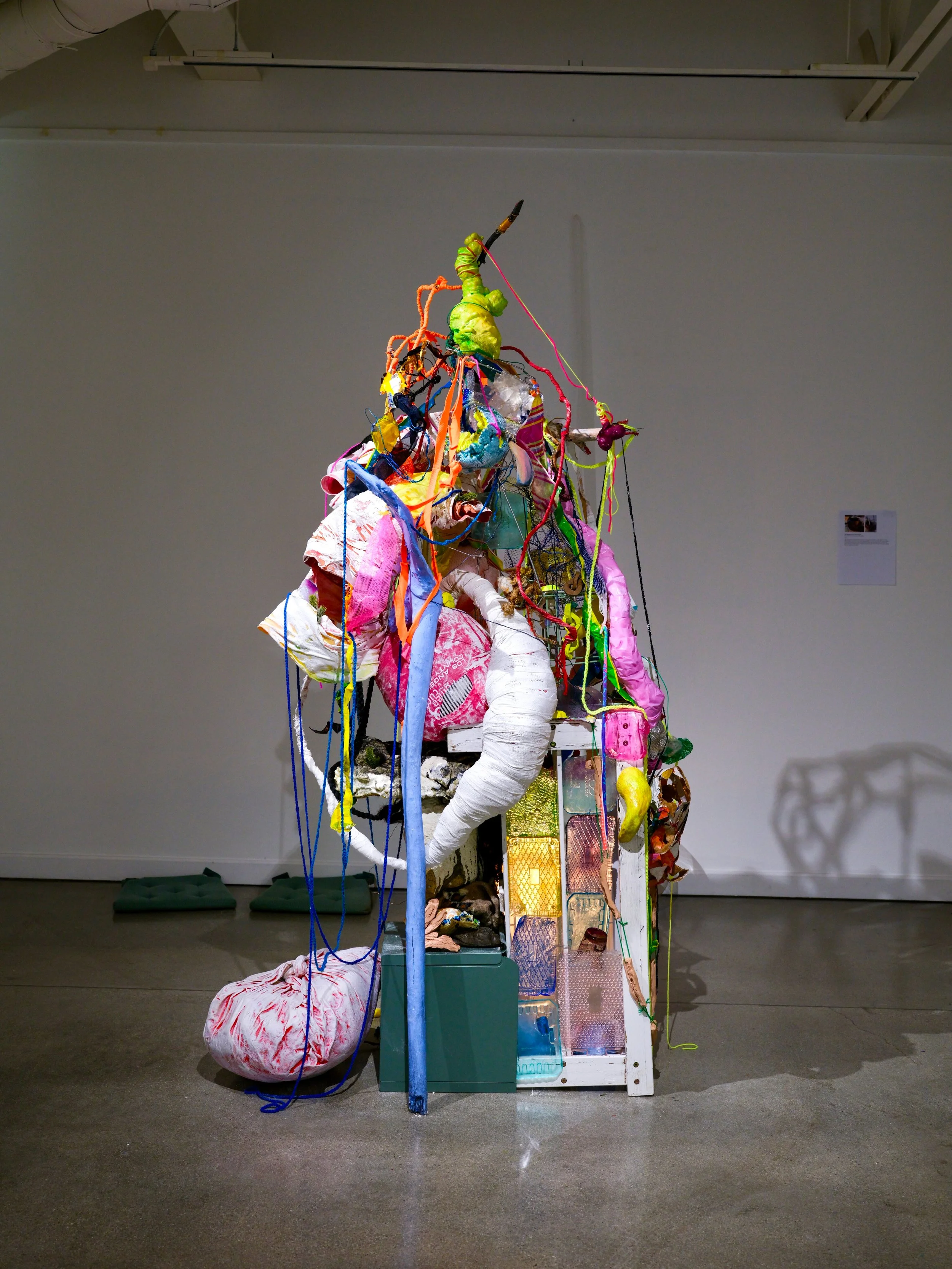 DSCF2564 1.jpg
