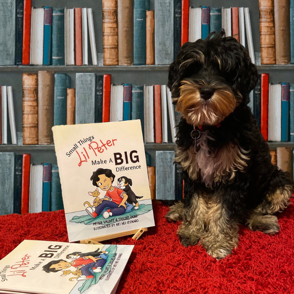 TTS-Small Things.png