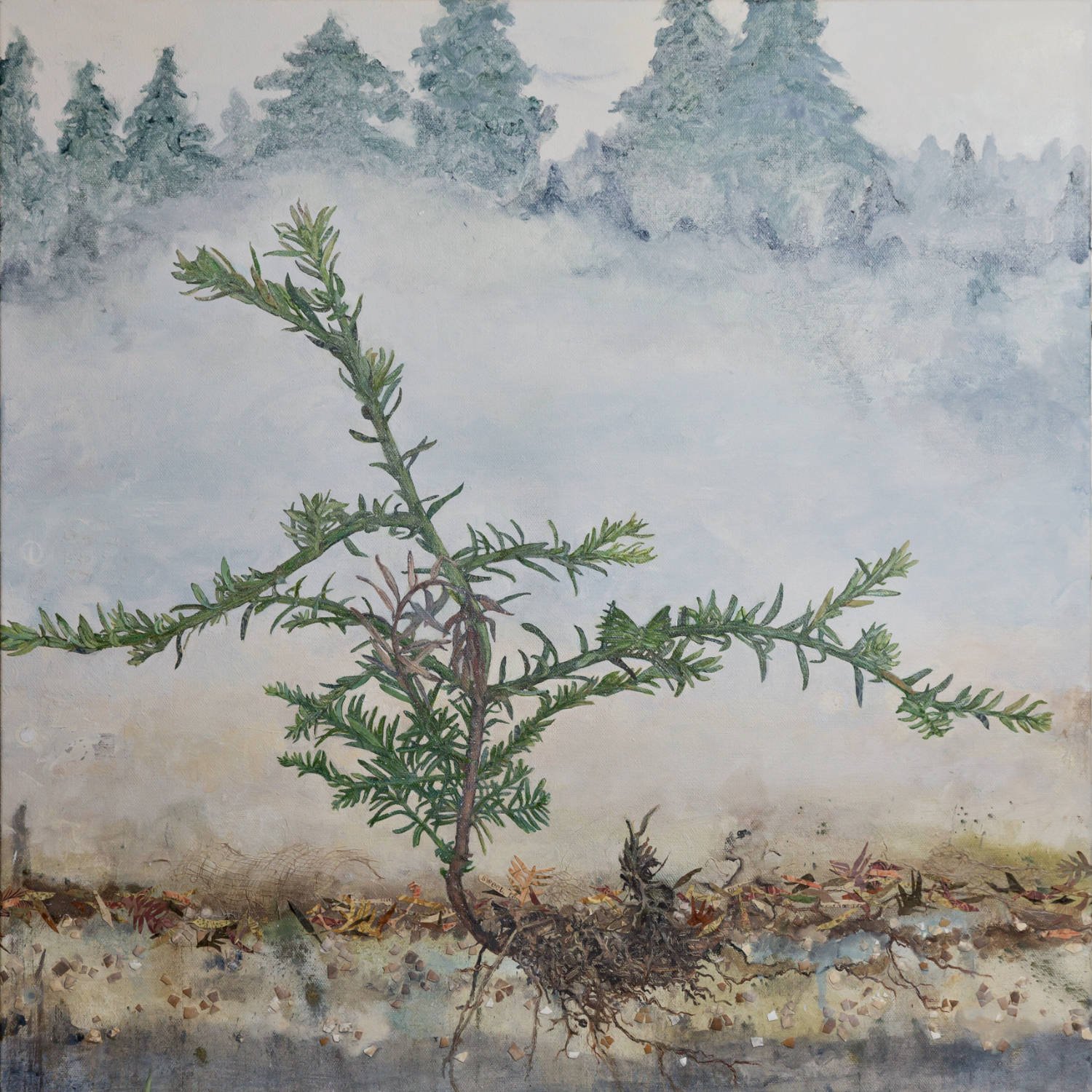 Young Ki Ta Wks is bold and fearless, even without a forest─ Oil on Canvas with mixed media, 24" x 24"  2025