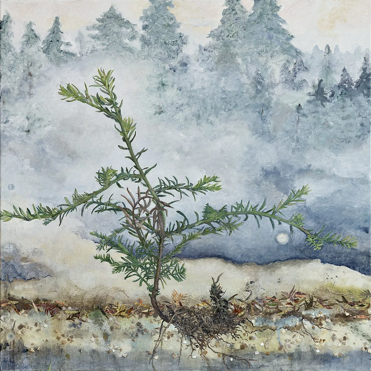 unfinished_24x24_5246