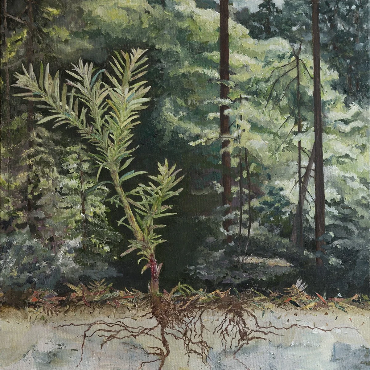 unfinished_20x20_web_5231