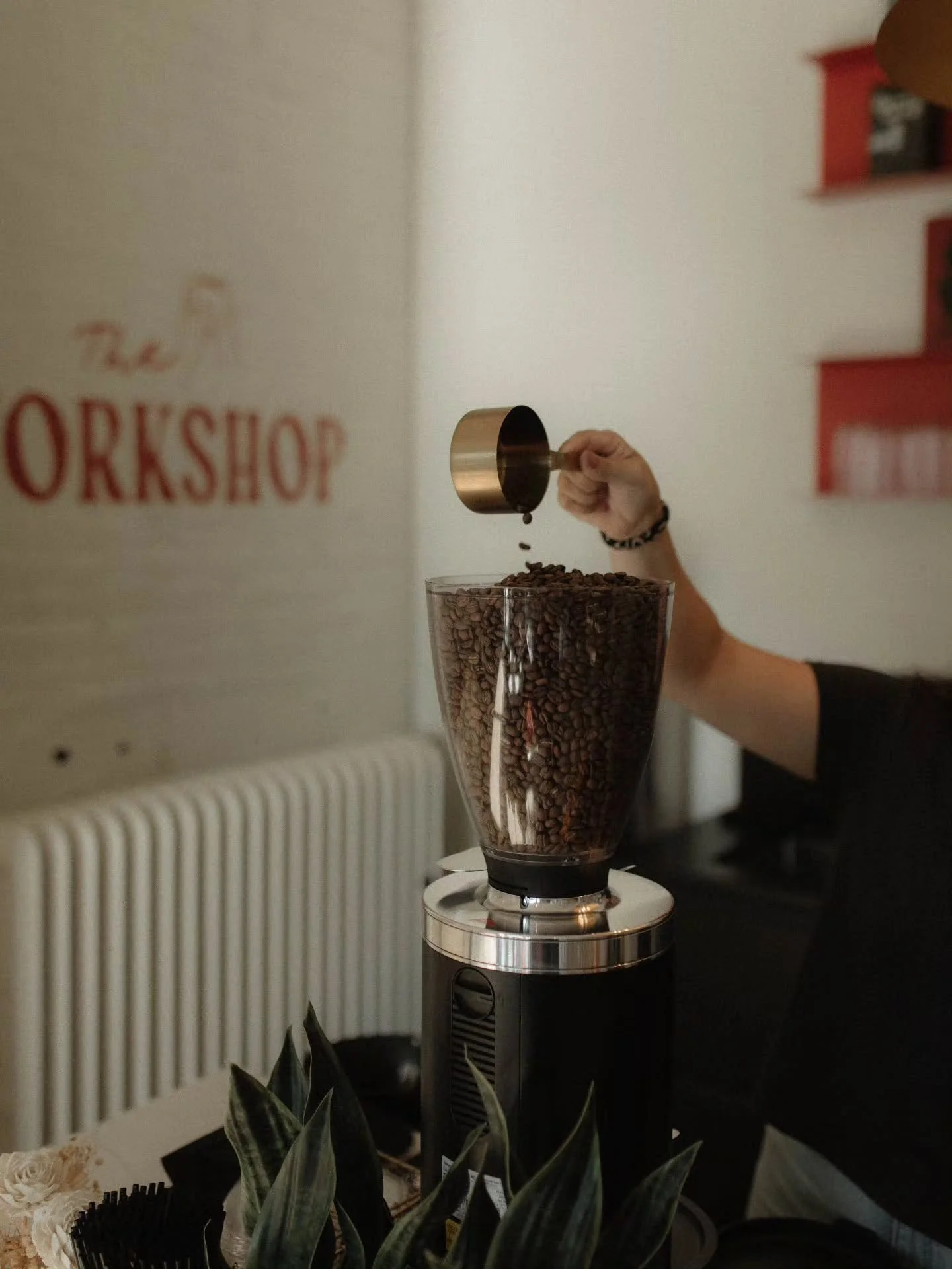 we're officially back open this week!
tuesday - friday 11am - 6pm &amp; saturday 11am - 4pm

our first sunday pop-up this year is february 22nd 12pm - 4pm

can't wait to see everyone again :)