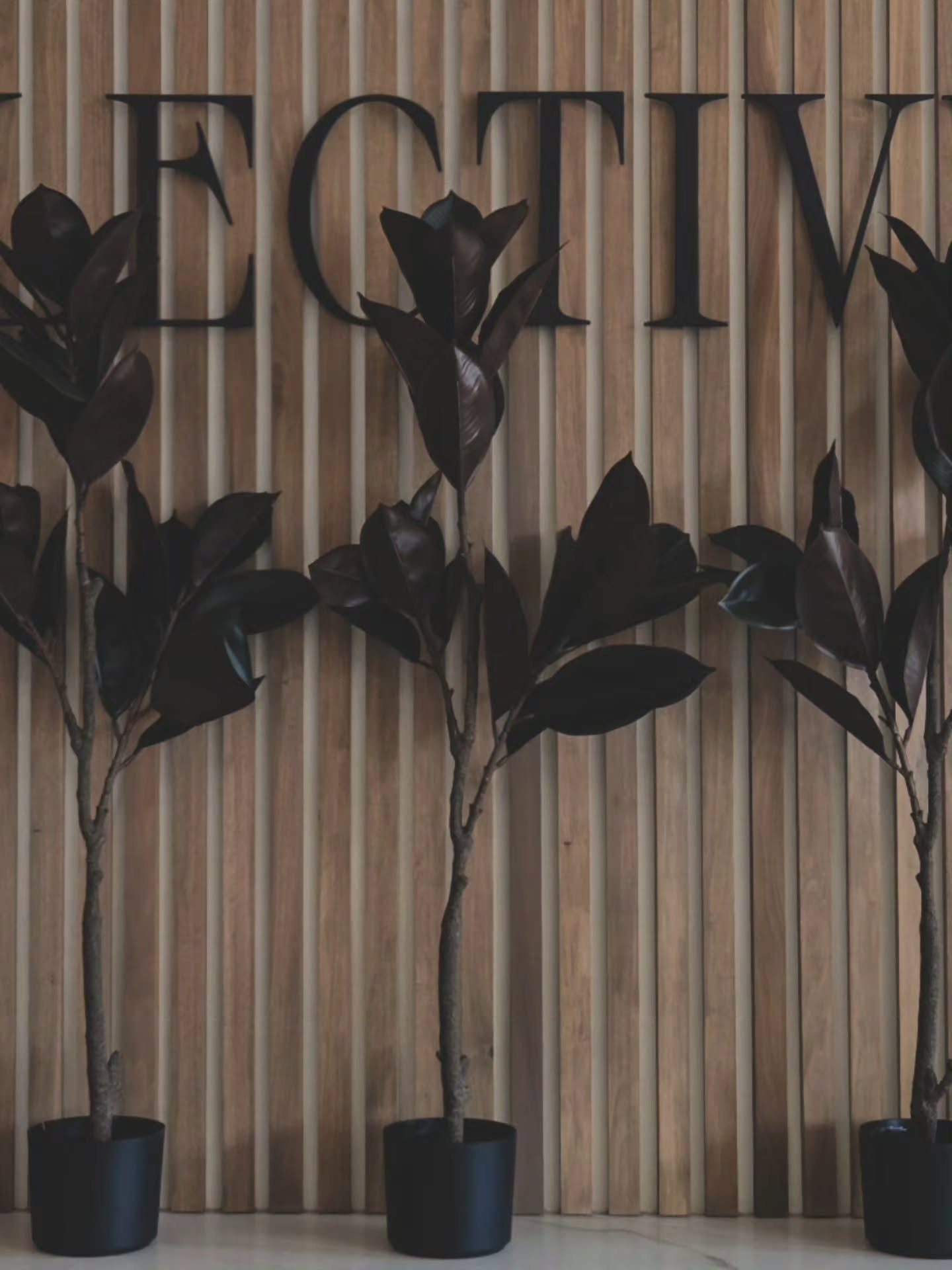 when you quit actively looking for something... it will appear.

i've been saying this for a long time now and before since opening - slow down, be in the present, here &amp; now. when you do so, things become more clear. you start to see and notice 