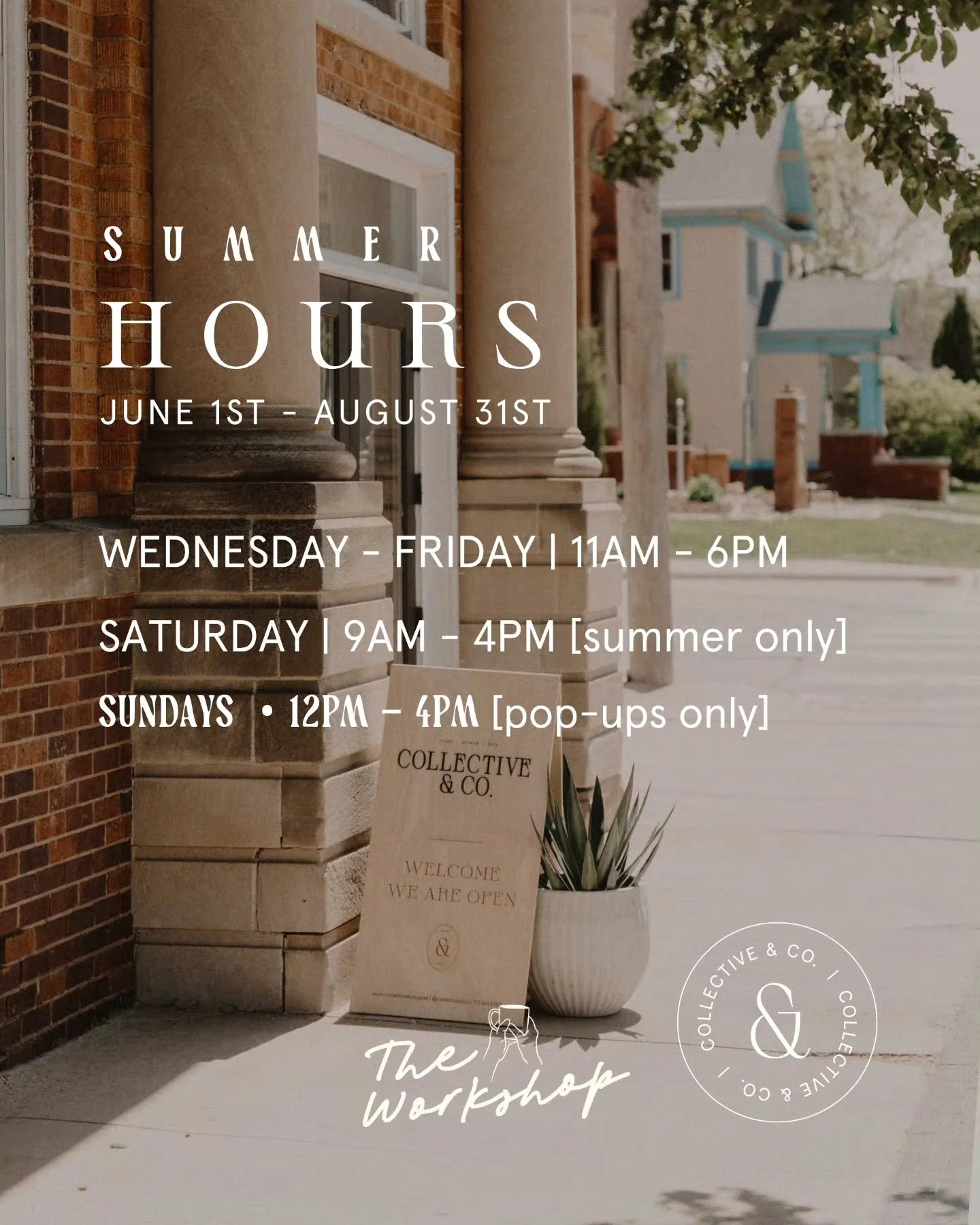 our summer hours are from june 1st - august 31st

open wednesdays - fridays 11am - 6pm and
saturdays we will be open earlier at 9AM - 4pm
CLOSED TUESDAYS for the summer

we will continue having sunday pop-ups each month:
june 14th
july 19th
august 16