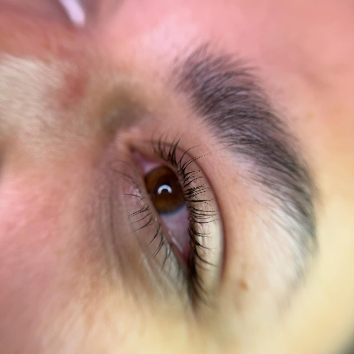 AFTER ✦ BEFORE 

We love a lash lift + tint moment 🤝🏼

Great for the summer months! Can last up to 4-5 weeks when keeping your lashes moisturized. 

#lashlift #tint #westpalm #palmbeach #palmbeachcounty #downtownwestpalmbeach
