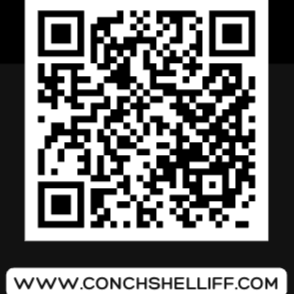 Submission opportunity - CSP Artist Collective