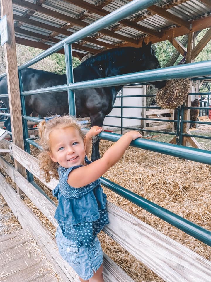 Indiana State Fair_Kids_Animal Barn.jpg