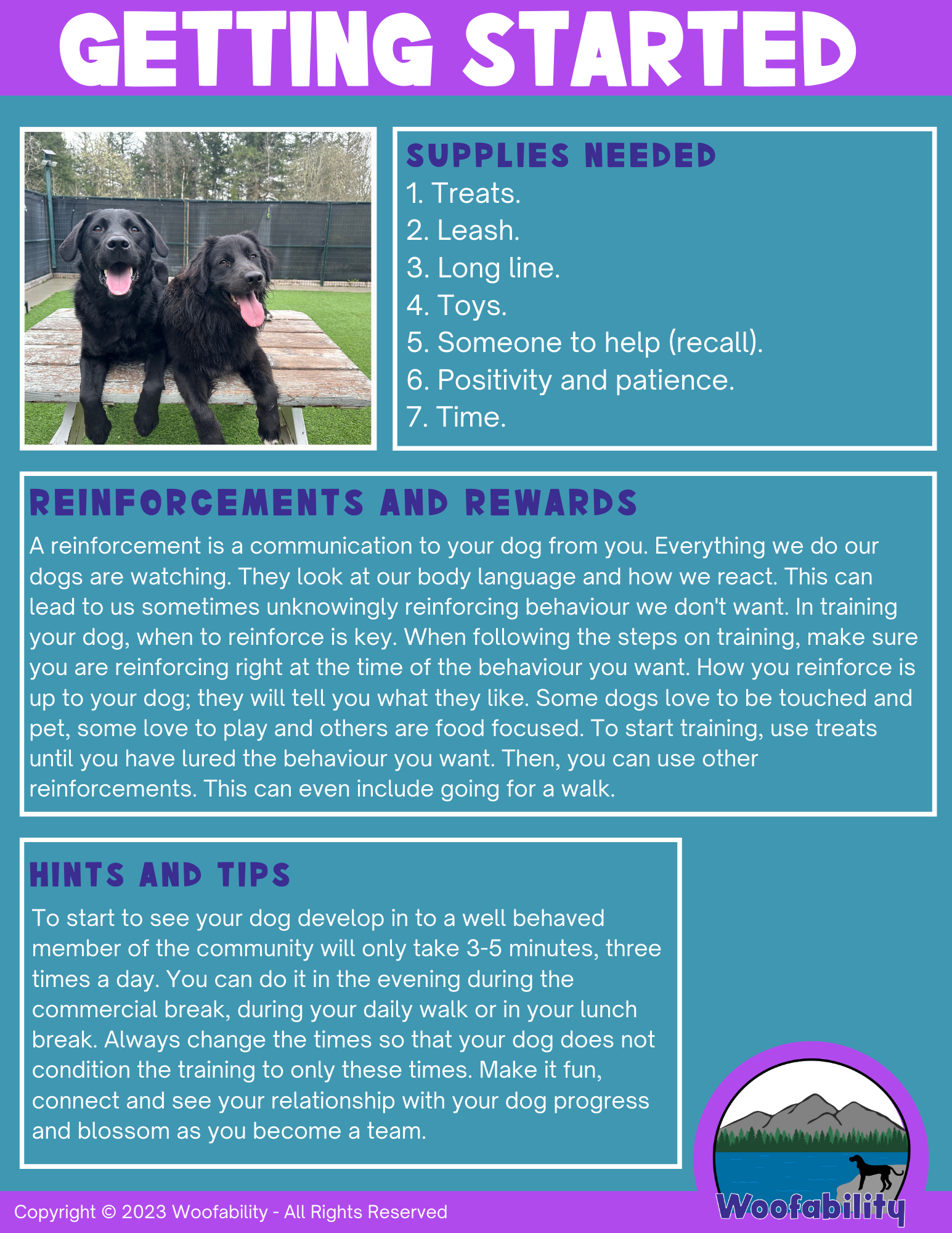 A colorful poster titled 'Getting Started' with sections on supplies needed, reinforcements and rewards, and tips for dog training. It includes a photo of two happy black dogs on a training platform in a yard.