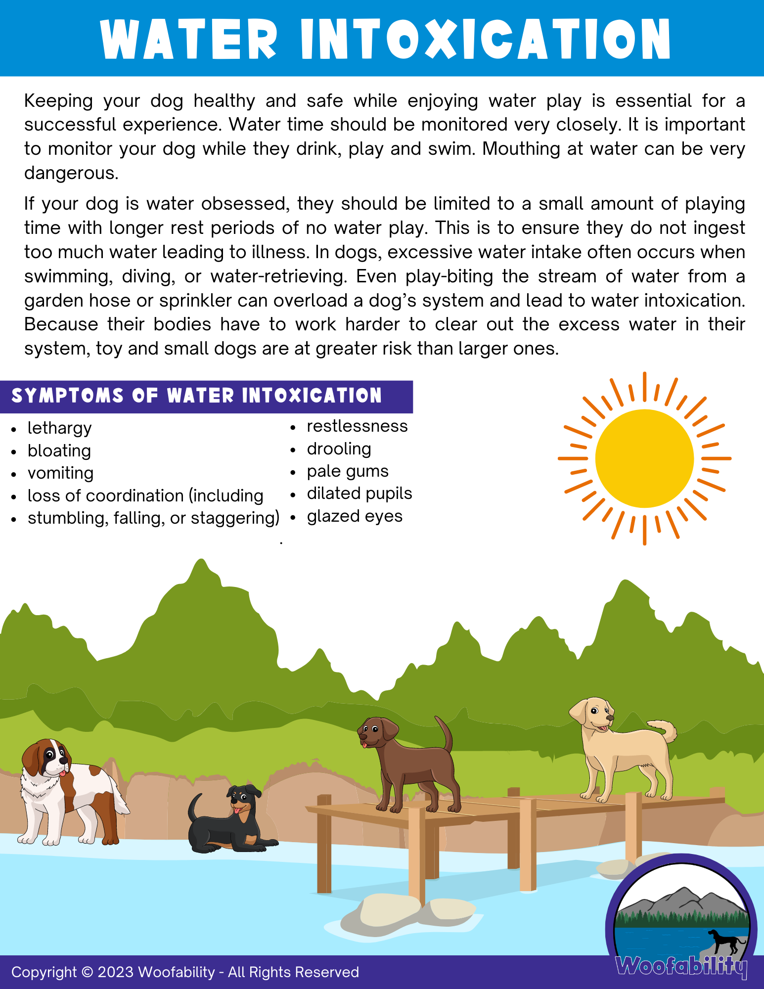 A colorful infographic about water intoxication in dogs featuring a bright yellow sun, green mountains, and four dogs on a dock by water, with a purple and white header and a round logo of mountains and water in the bottom right corner.