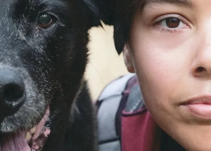 A boy and a black dog close-up, with similar facial expressions.