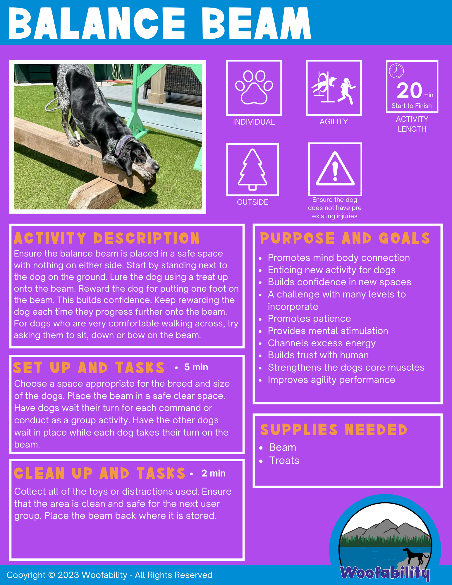 Informational poster about balance beam activities for dogs, including a picture of a black and white dog walking on a balance beam outdoors. The poster details activity steps, purpose, and supplies needed, emphasizing safety and confidence building for dogs.