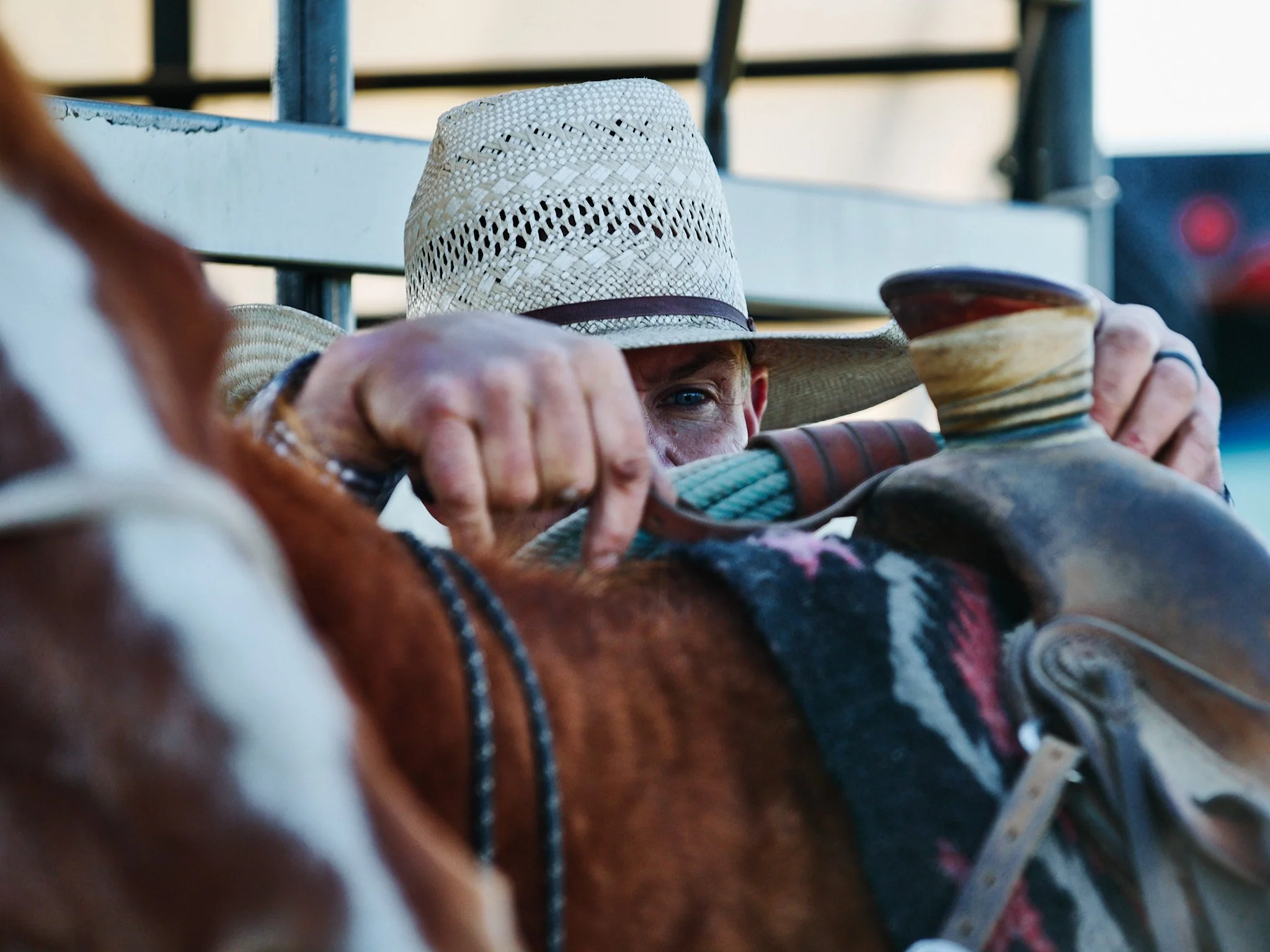 2024_05_18_Cowboy Branding 00521.jpg