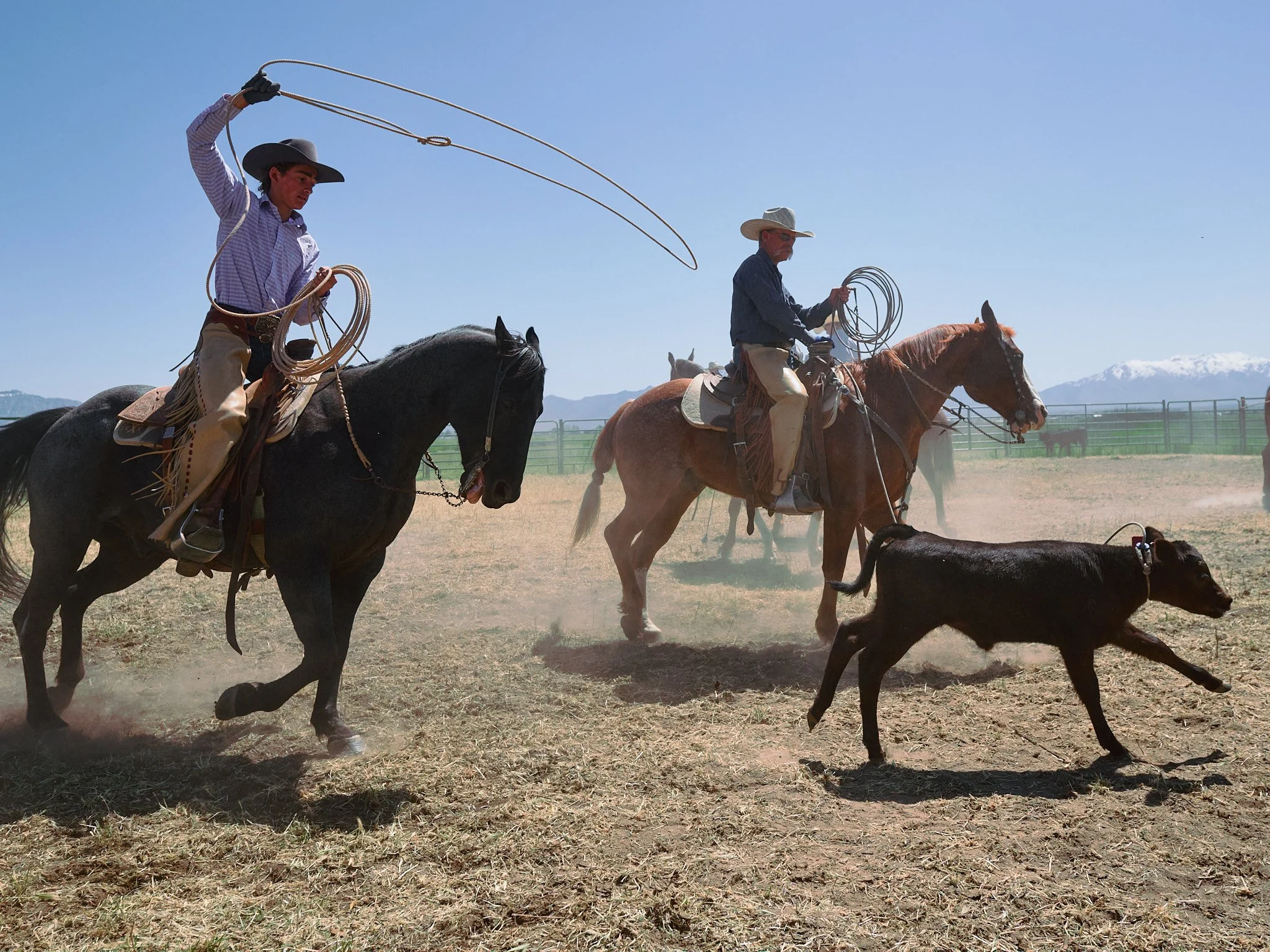 2024_05_18_Cowboy Branding 03278.jpg