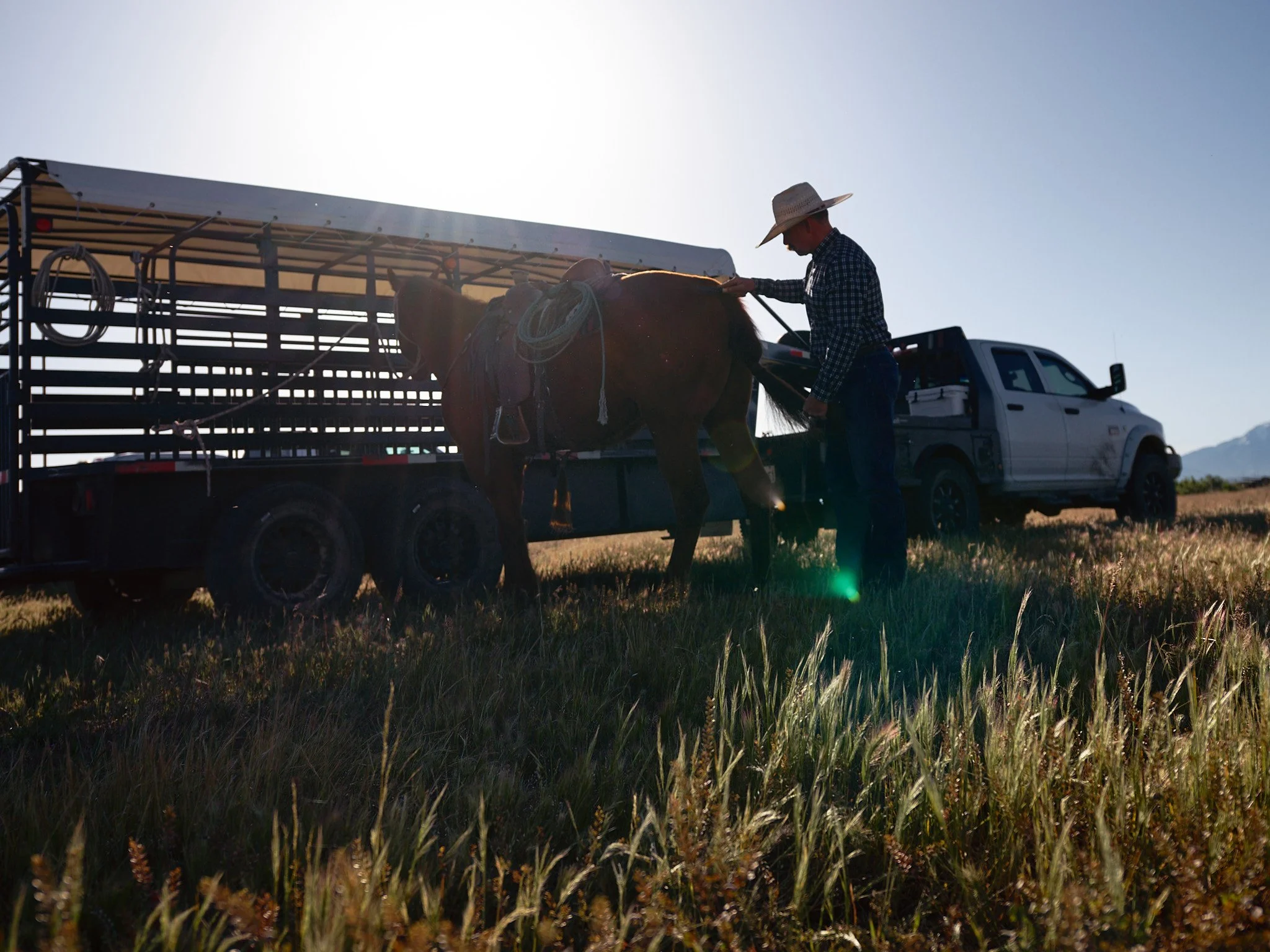 2024_05_18_Cowboy Branding 00379.jpg