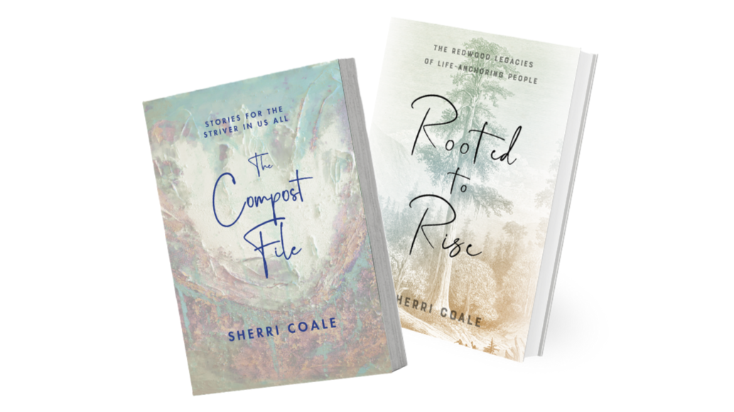 SC_+Holiday+Bundle_Covers.png