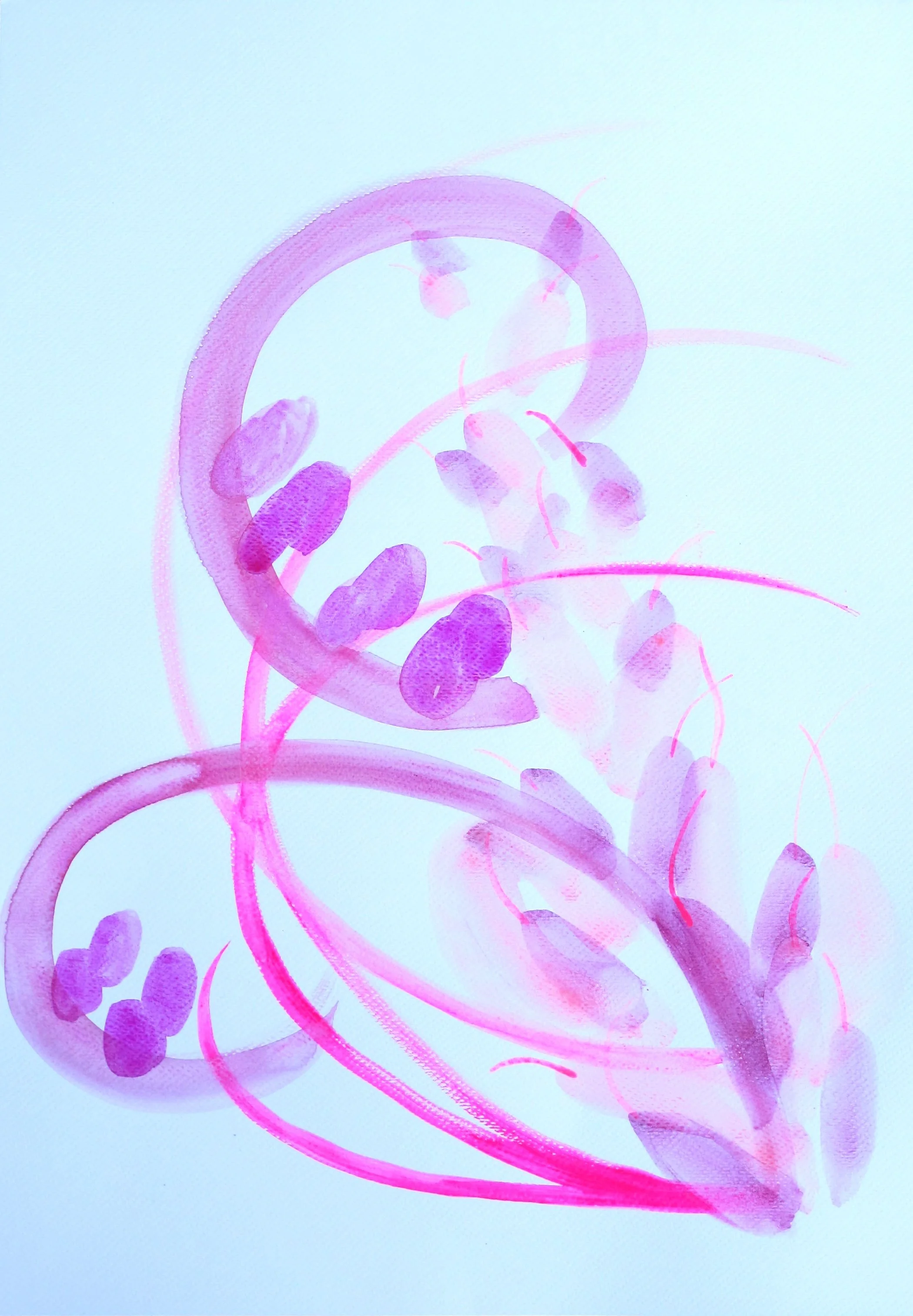 Fushia+large+2.jpg
