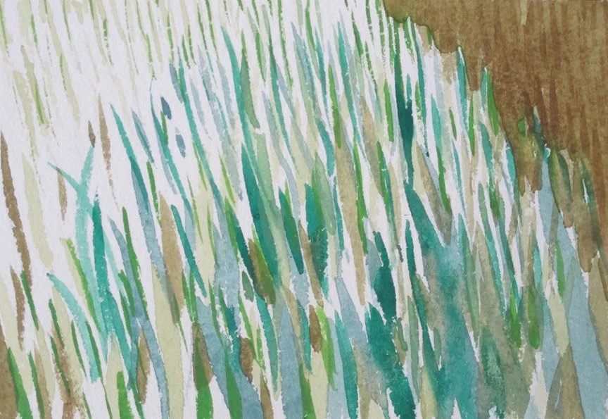 Wind Wisps