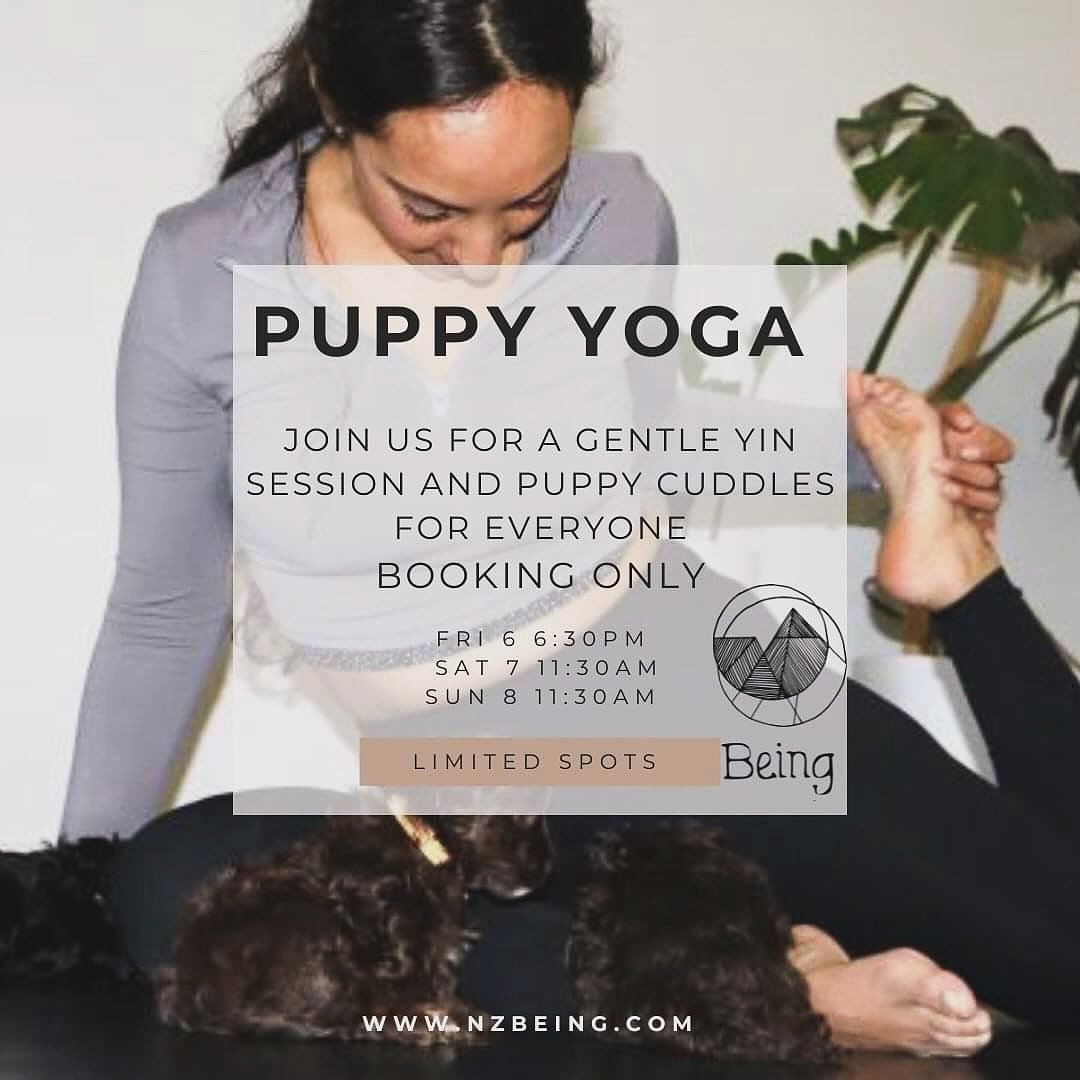 Less than a week now 🤩
Friday class is SOLD OUT 🐶 

Some tickets remaining for Sat and Sunday ! Book now to not miss out! 🐾
We are super excited to have this cuteness boost just before the year ends! 🎄 

Today was so special, thank you to everyon