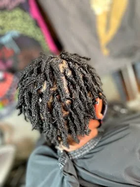 Starter loc retwist/2