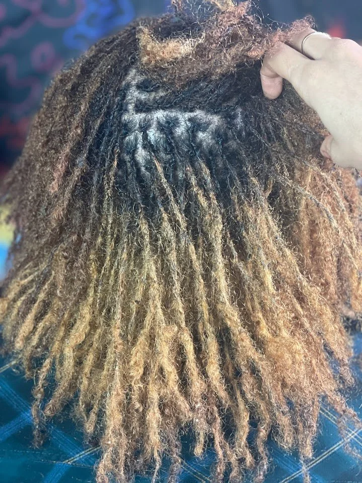 Sister Locs