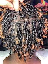 After Starter Locs/4
