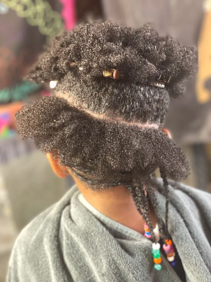 B4 kid natural braids/1