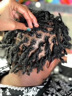 Adult loc retwist/3