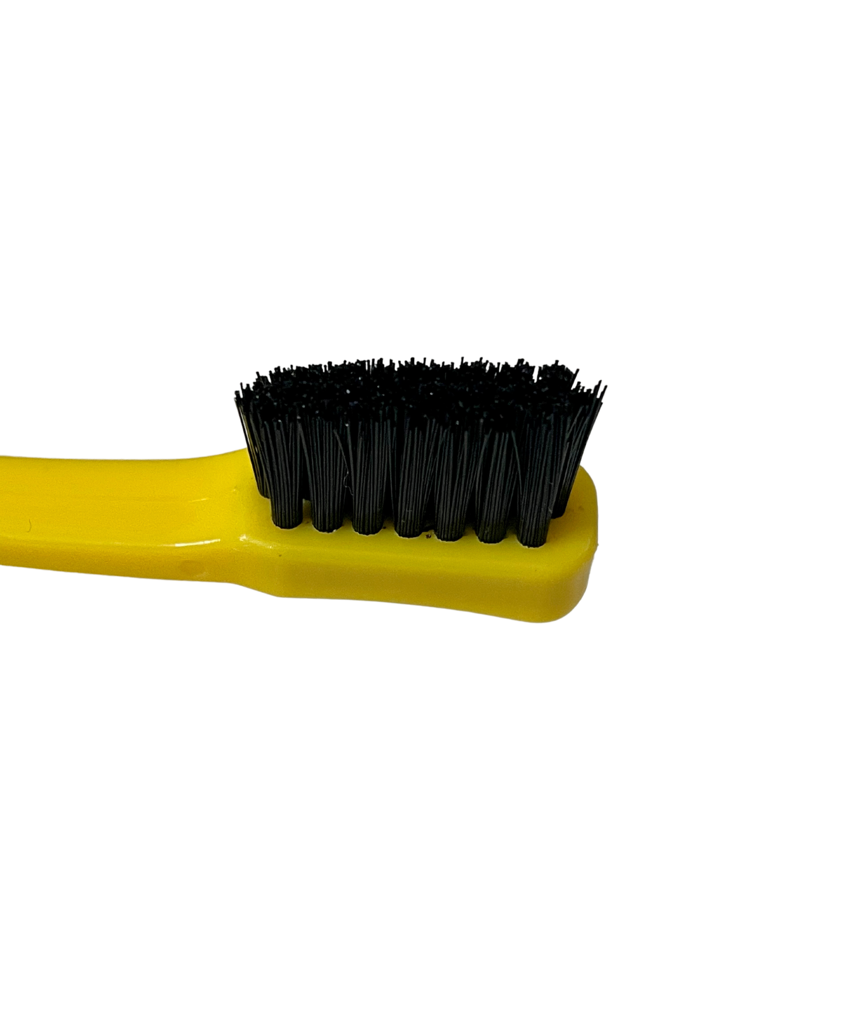 Untitled design (73).png