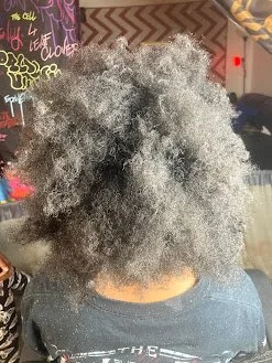 B4 Starter locs/2