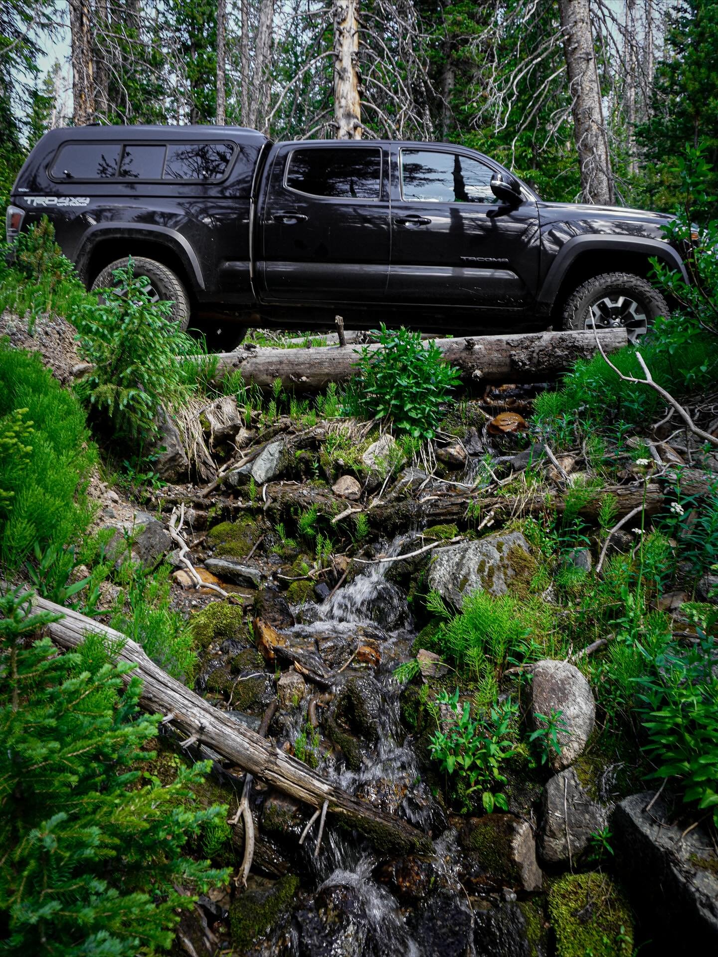 Let your truck take you somewhere beautiful this week.

Incredible shots from @kjandlexie as always.

#tacoma #3rdgentacoma #snugtop #scargotruckcaps