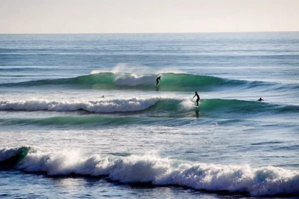 1surf.jpg