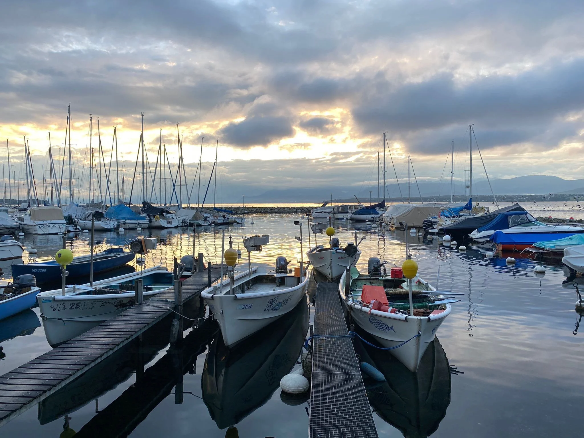 Photos campagnes Co-P