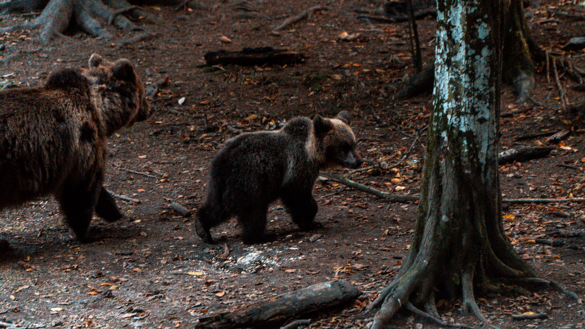 _DSC5876.jpg