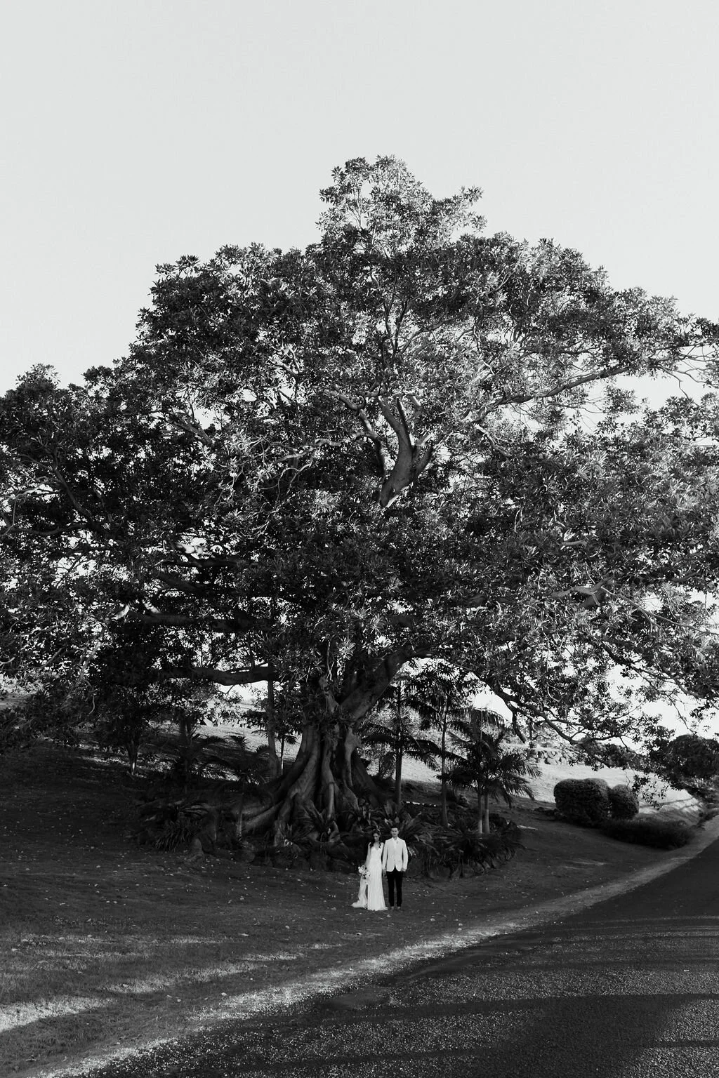 BrookeArtStudio-G+M-SummergroveWedding-625.jpg