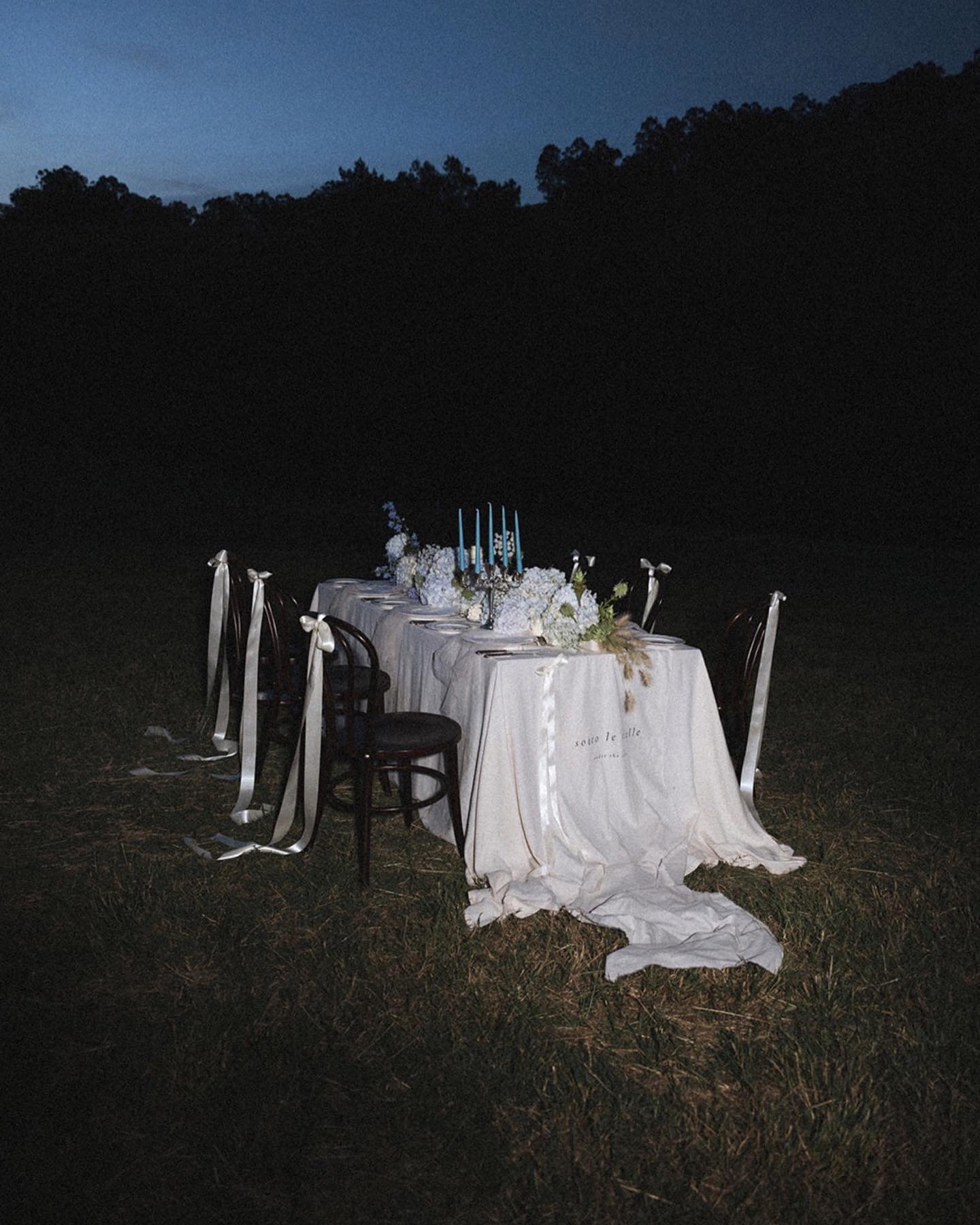 Bleu | sweet cakes hidden in table blooms, bows on bentwood chairs, tulle and menu musings on hand made paper, farewell to the sun and look forward to a night under the stars ✨ 

It was only fitting that for our final scene of this series we shot in 