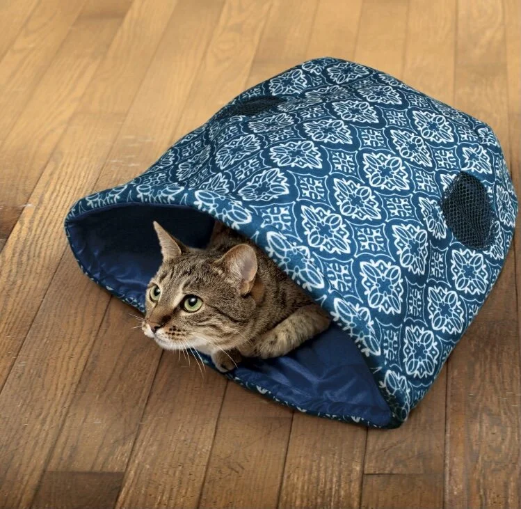 Kong Play Spaces Bungalow — Bonnie Little Paws