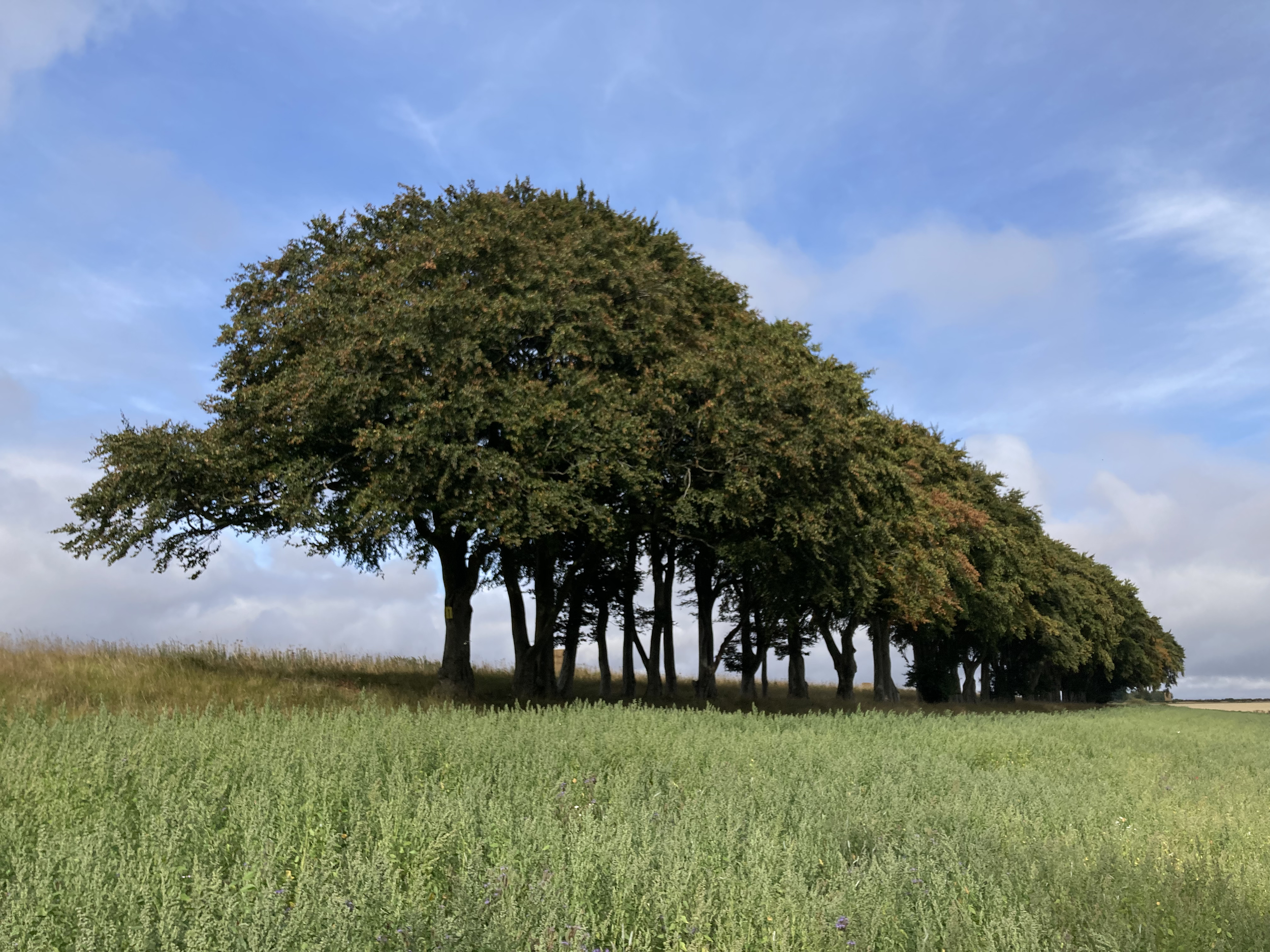 image 1 for photo section.png