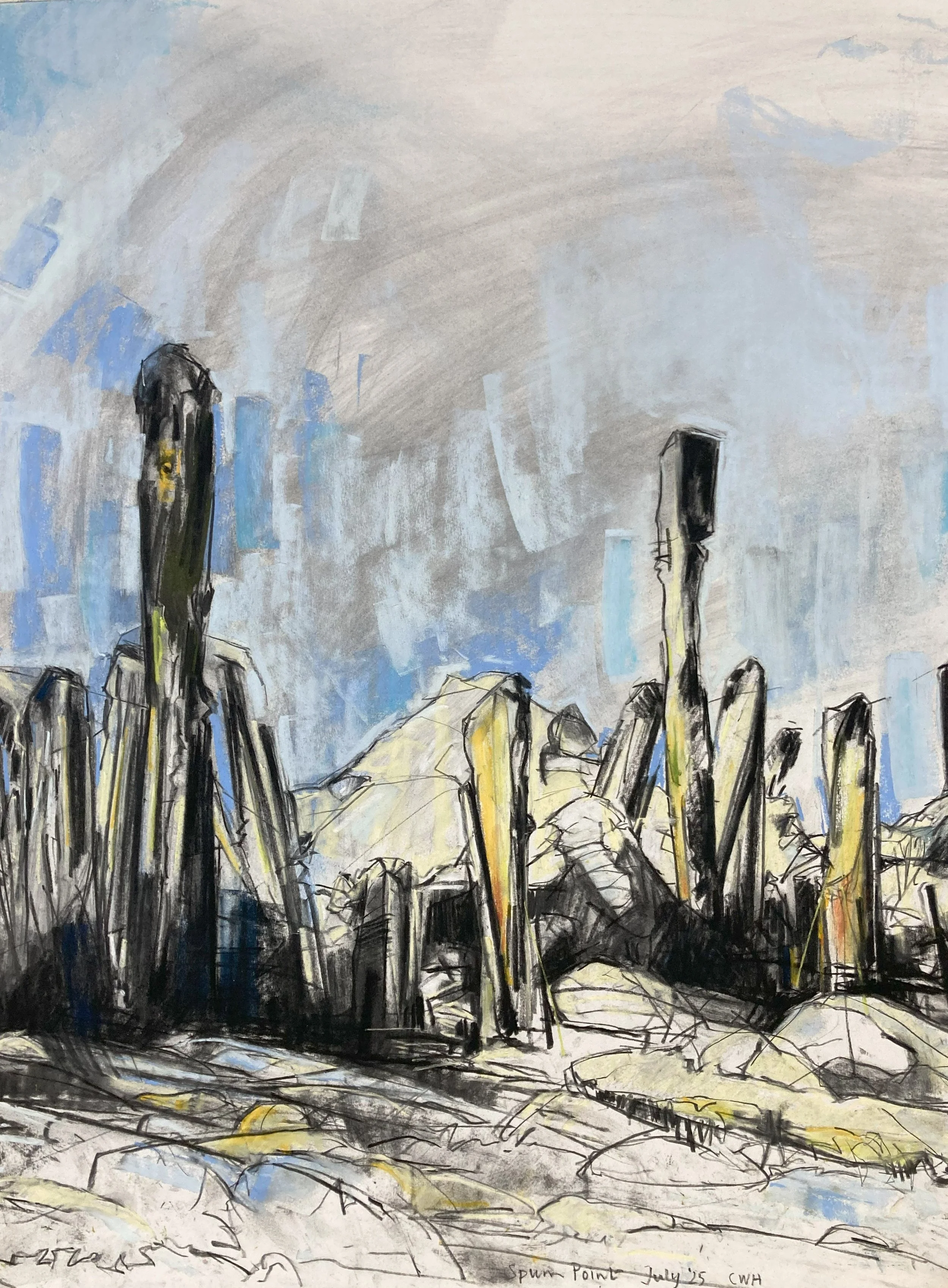 Spurn Point 2 (2025, 1695 x 760mm) Pastel, charcoal, graphite.jpg