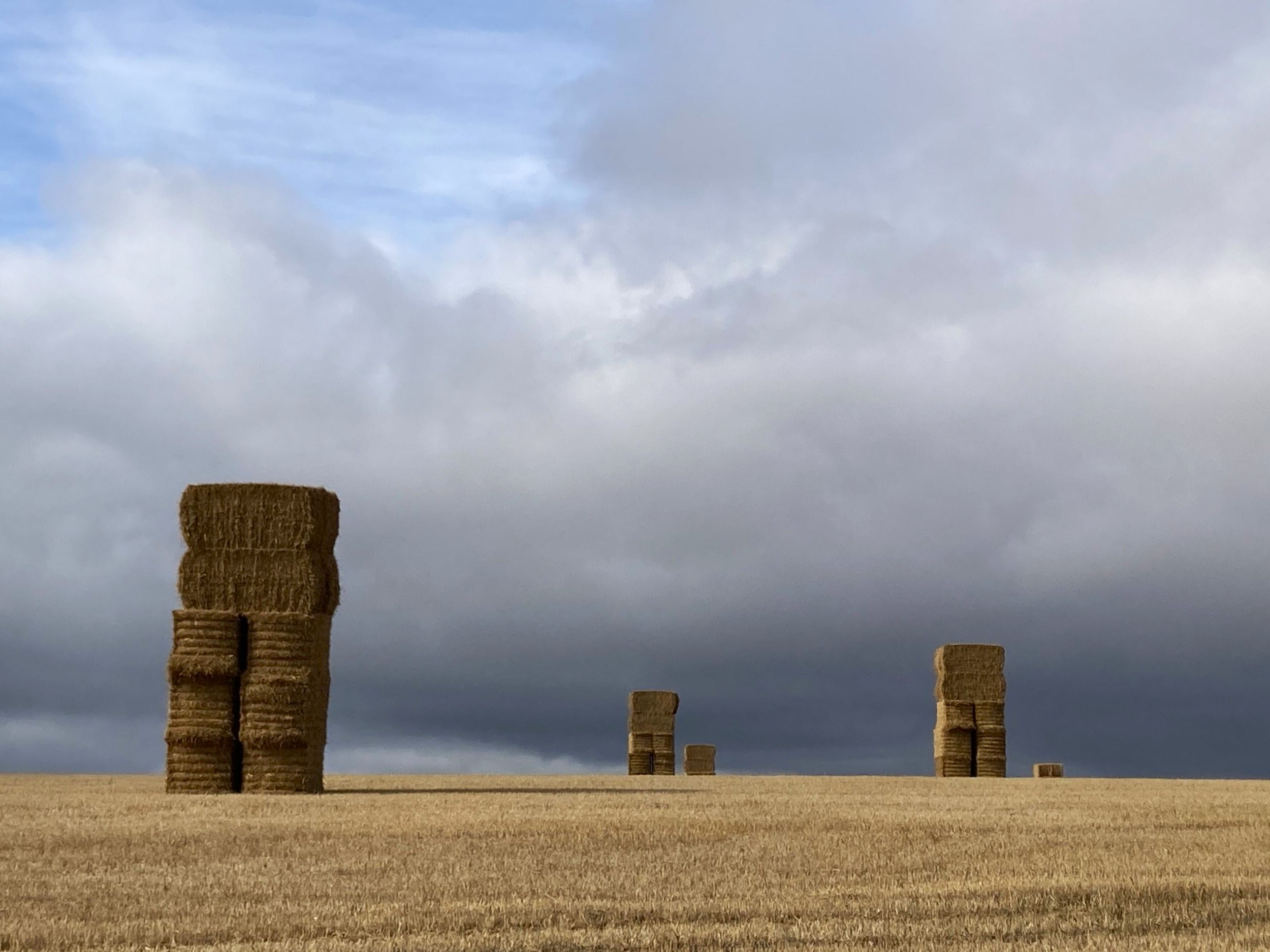 Image 3 for photo section (1).png