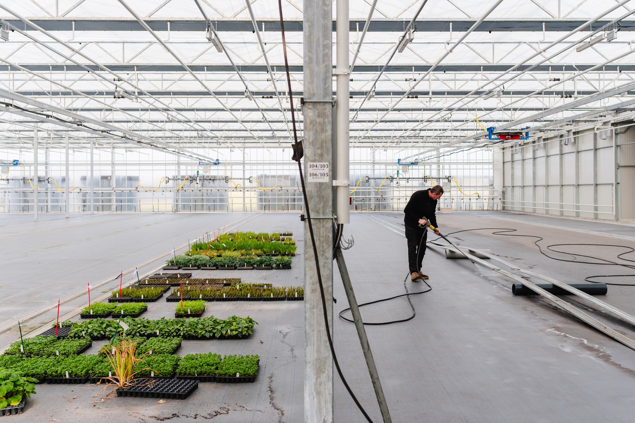 A man is working inside a large greenhouse with rows of young plants in pots. He is using a tool on the floor, surrounded by equipment and pipes, with bright natural light filling the space.