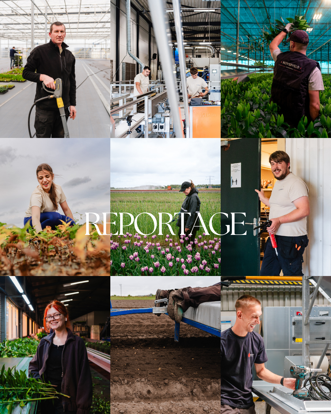 Collage van verschillende mensen die werken in de landbouw, tuinbouw, en industriële omgevingen, inclusief binnen en buitenactiviteiten.
