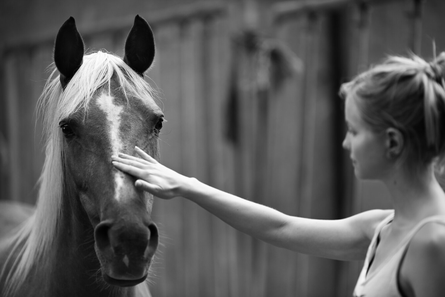 Prosjekt Hestenge | Copyright Nina Holtan - all rights reserved.jpg