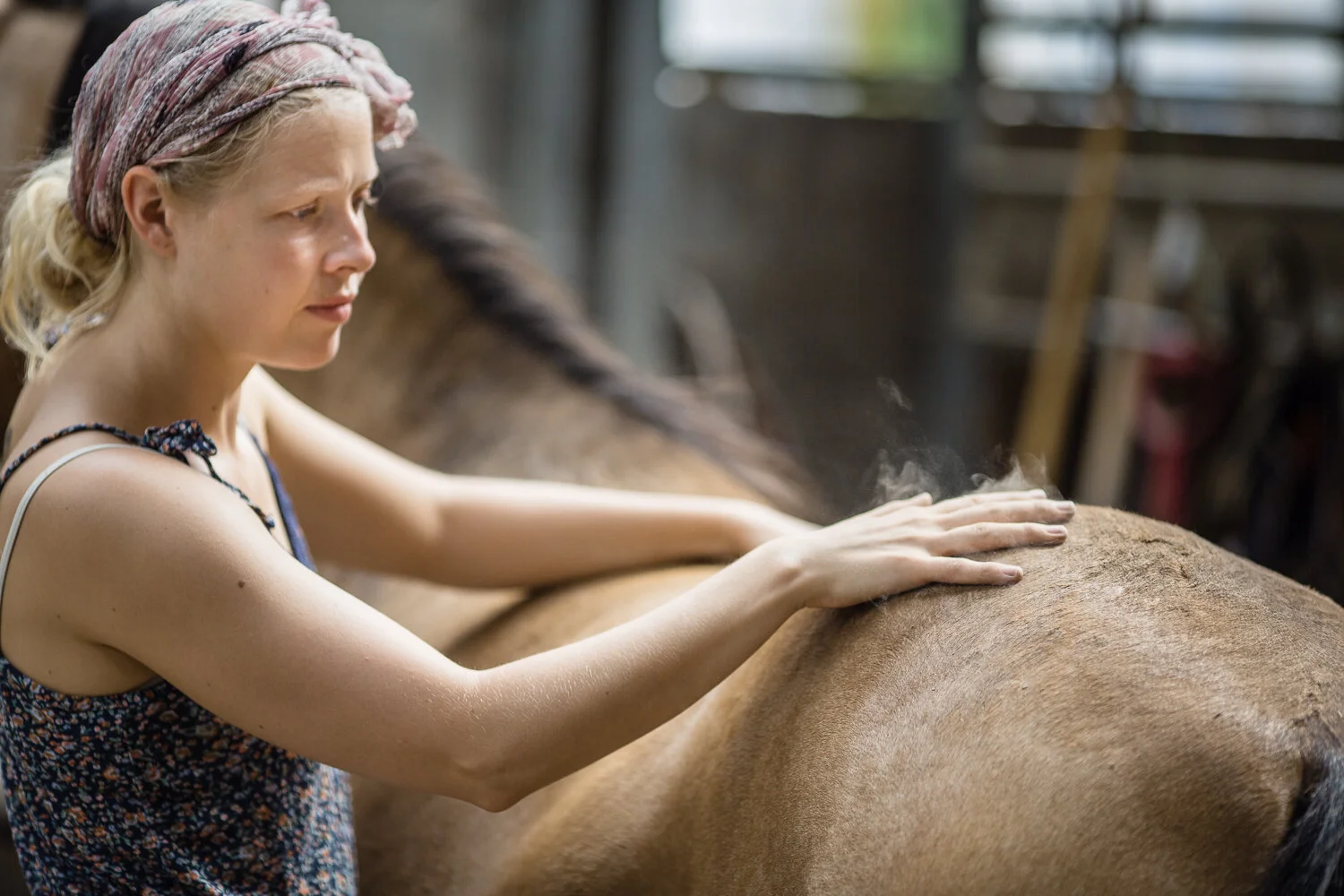 Prosjekt Hestenge | Copyright Nina Holtan - all rights reserved.jpg