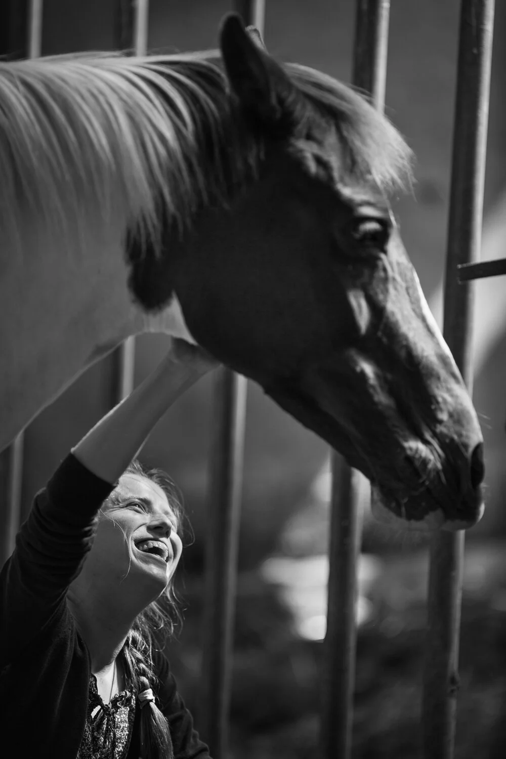 Prosjekt Hestenge | Copyright Nina Holtan - all rights reserved.jpg