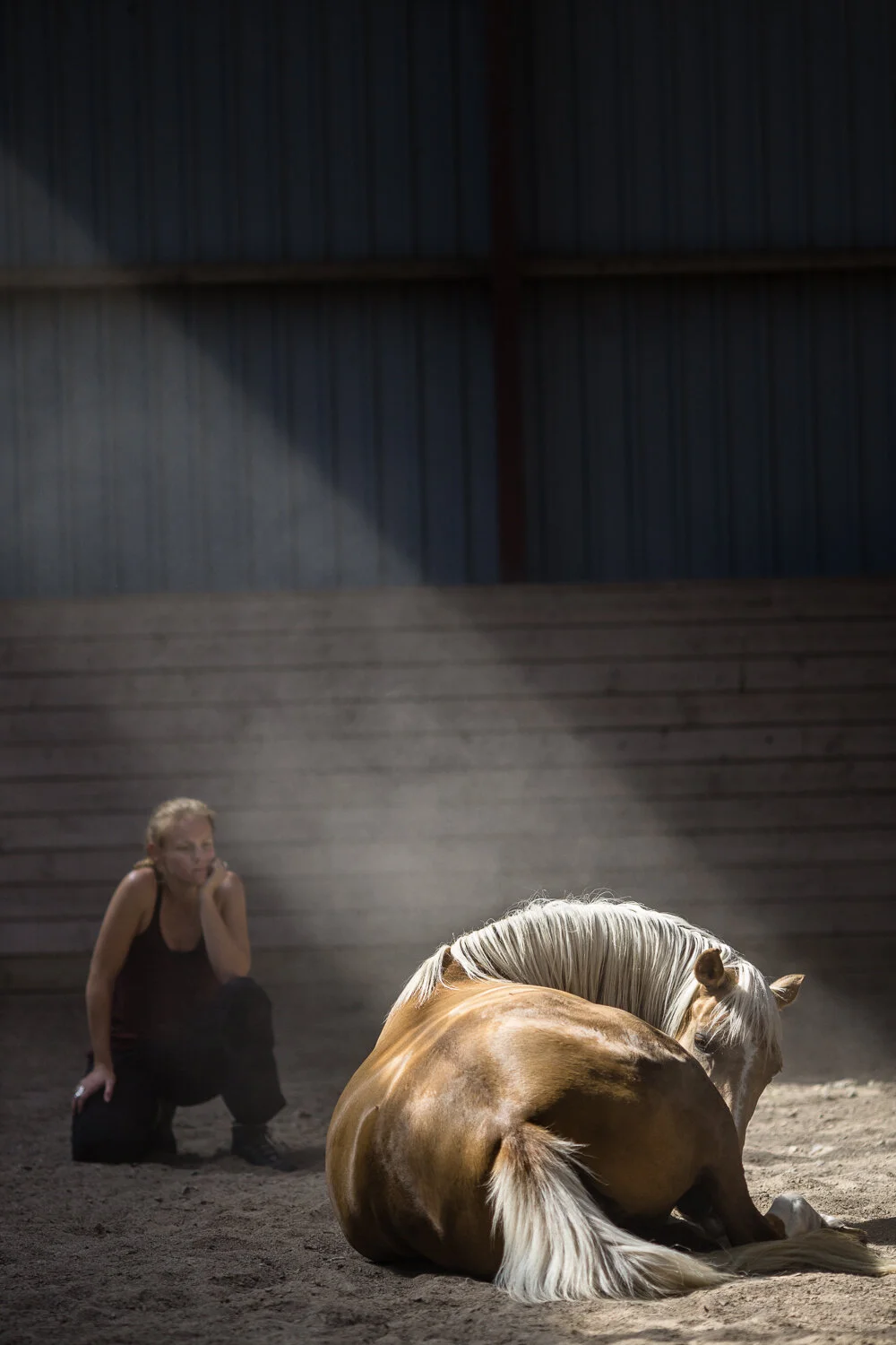 Prosjekt Hestenge | Copyright Nina Holtan - all rights reserved.jpg