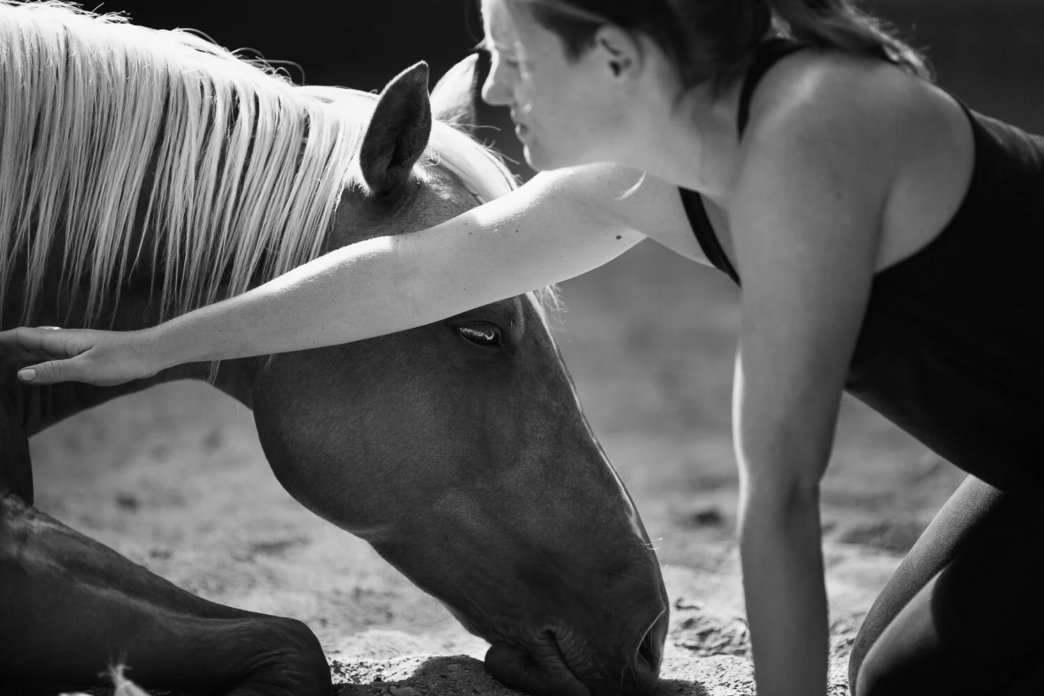 Prosjekt Hestenge | Copyright Nina Holtan - all rights reserved.jpg