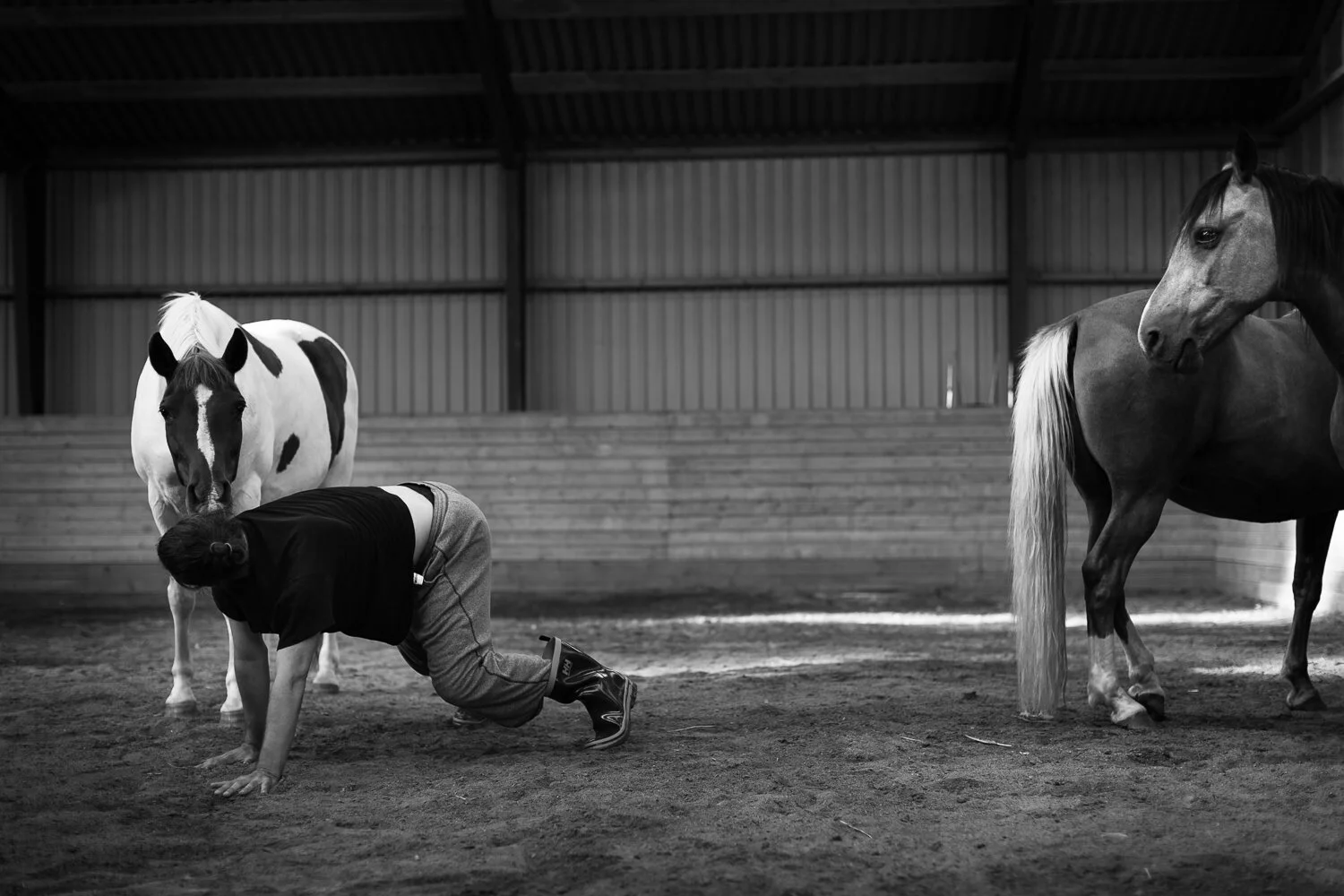 Prosjekt Hestenge | Copyright Nina Holtan - all rights reserved.jpg