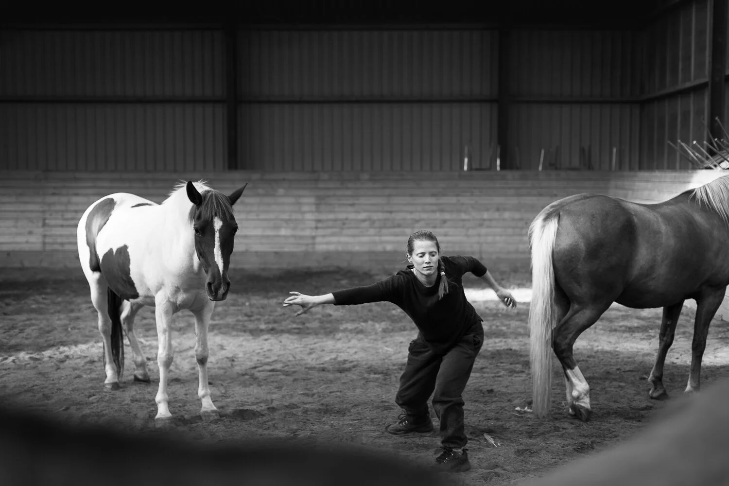 Prosjekt Hestenge | Copyright Nina Holtan - all rights reserved.jpg