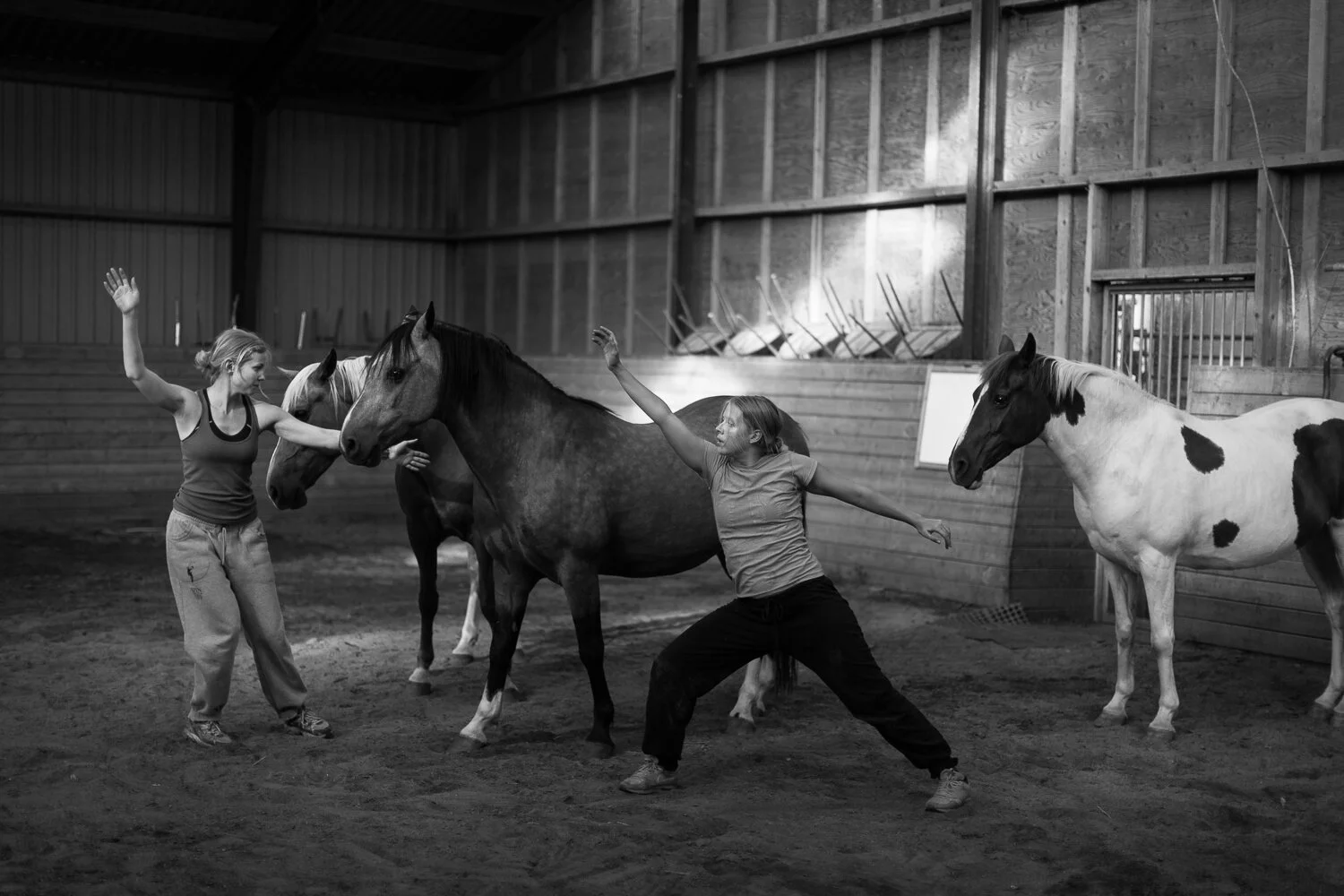 Prosjekt Hestenge | Copyright Nina Holtan - all rights reserved.jpg