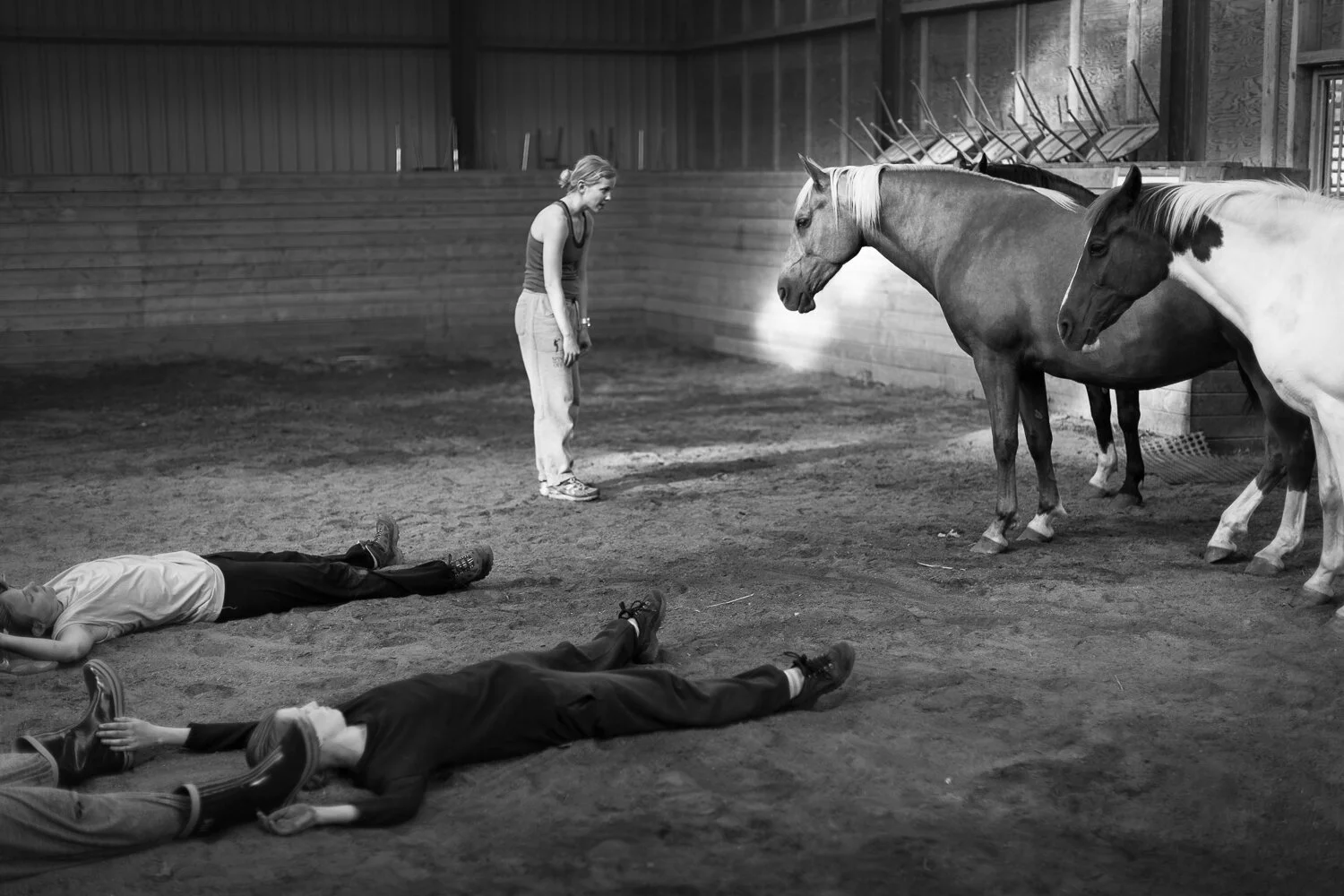 Prosjekt Hestenge | Copyright Nina Holtan - all rights reserved.jpg